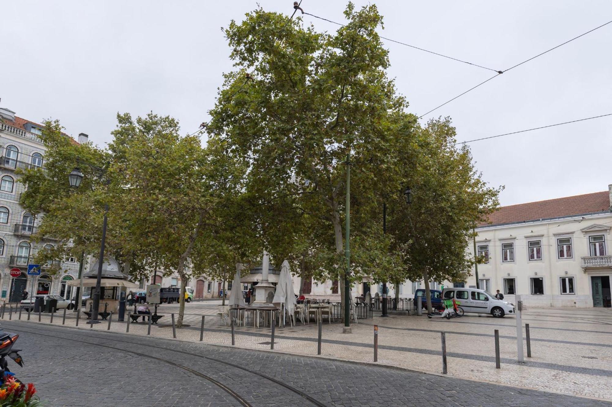 Chiado Center 1Bdr Flat By Lovelystay Lisboa Exterior foto